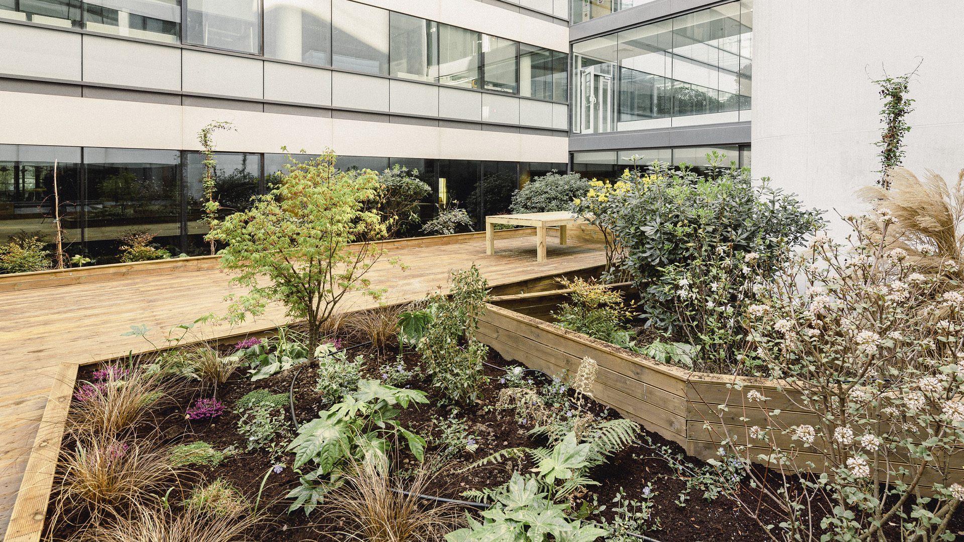 Siege dentreprise axa banque assurance par Apis Florae _REALISATION- jardinieres et parterres en terrasse pour végétalisation du patio