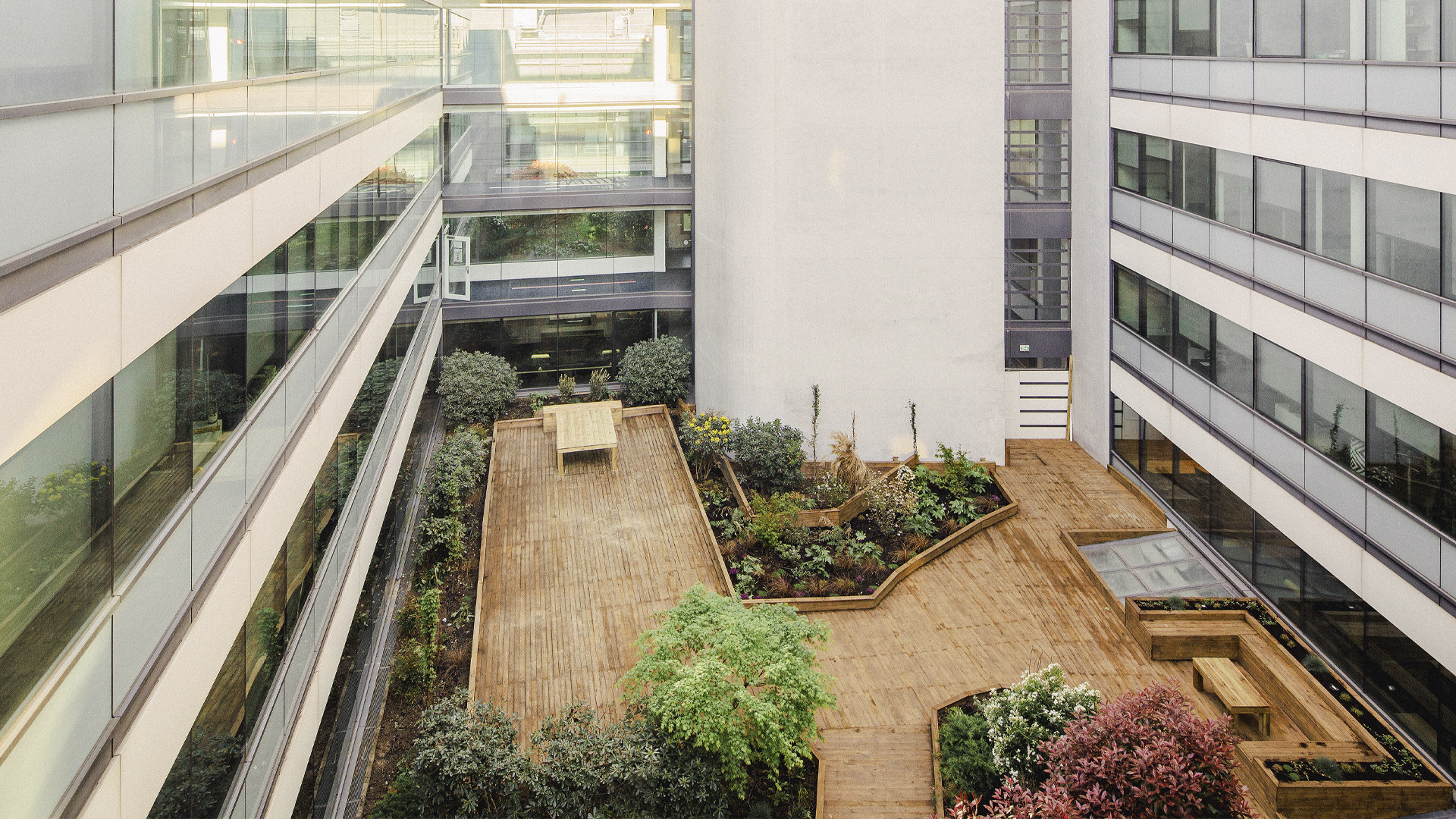 Siege d'entreprise axa banque assurance par Apis Florae _REALISATION- plancher terrasse dans le patio du jardin d'entreprise