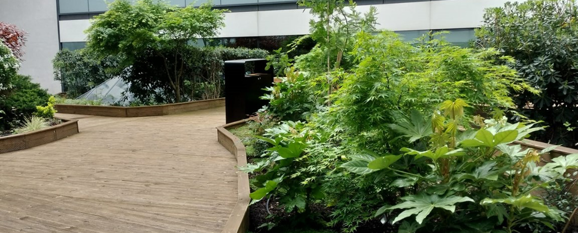 Apis Florae paysagiste Axa banque et assurances verrière - Conception -d'espaces verts pour le patio paris