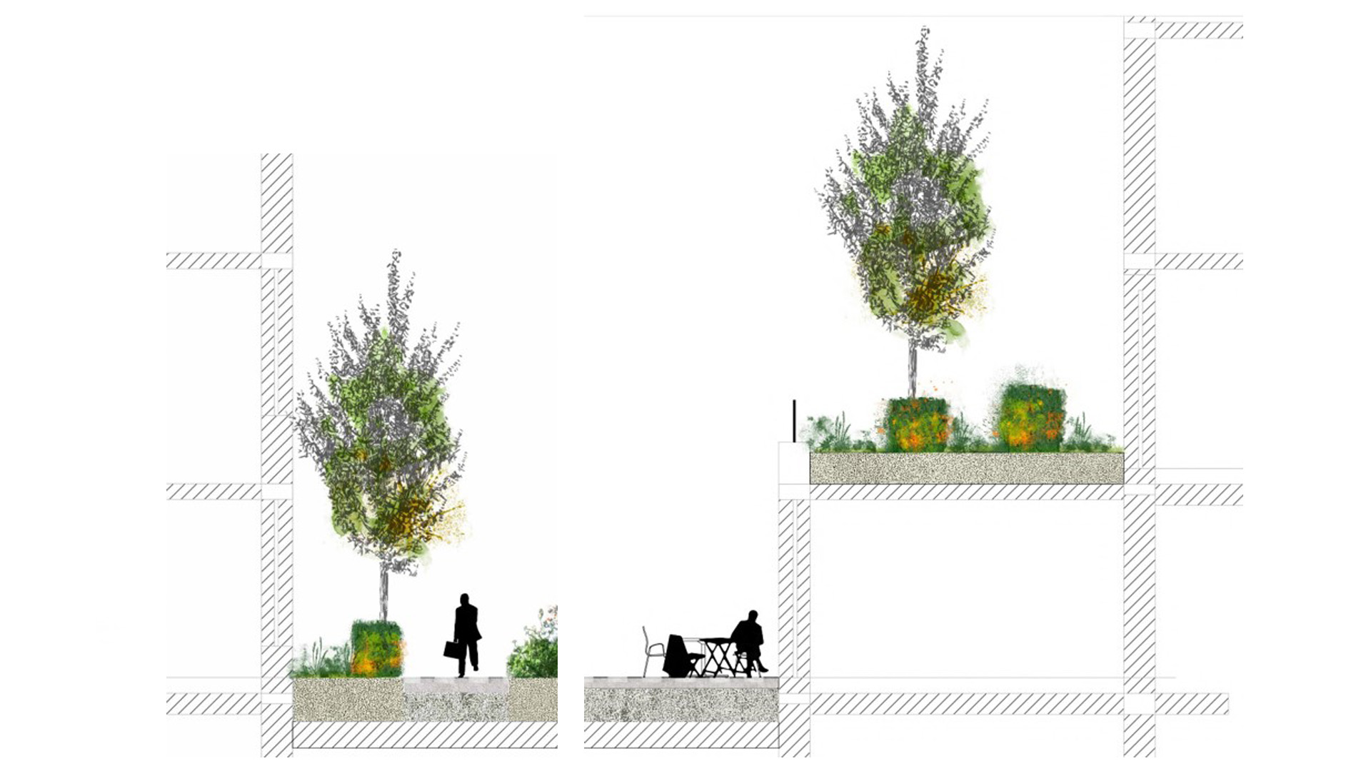 Apis Florae paysagiste Cardo Decumanus - Conception Gallerie -d'espaces verts pour le Crédit Agricole Levallois Perret 1