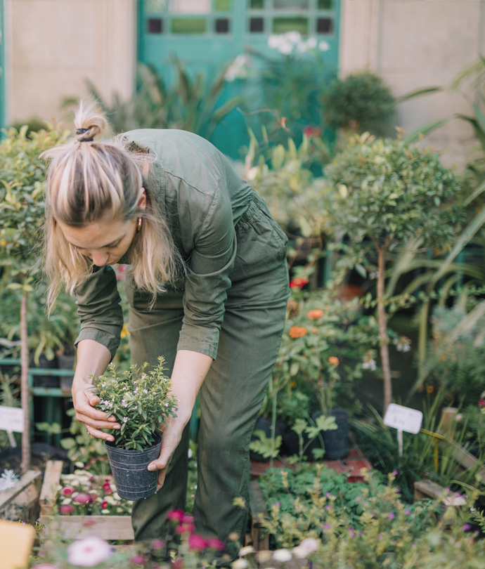 Pépinière-palette végétale-plantes-arbustes-coix Apis-Florae-jardinier-Paysagiste-espaces-verts-particuliers-et-professionnels