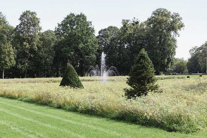 Apis Florae Chateau de Champlatreux-reconstruction des espaces verts dans un jardin classé