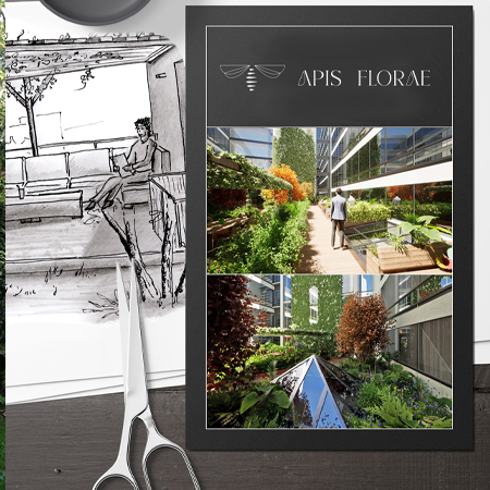 Bureau d'étude-conception-paysagiste-jardiner-APIS FLORAE home page