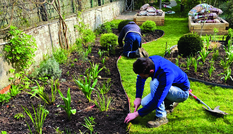 Entretien jardin Apis Florae jardinier Paysagiste - espaces verts particuliers et professionnels services