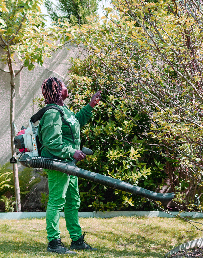 Jardinage-entretien-fleurs-pelouse-plantations-Apis-Florae-jardinier-Paysagiste-espaces-verts-particuliers-et-professionnels Jardinage-entretien-fleurs-pelouse-plantations-Apis-Florae-jardinier-Paysagiste-espaces-verts-particuliers-et-professionnels