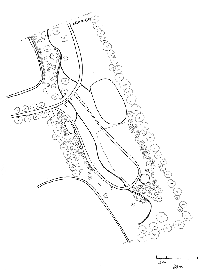 Apis Florae paysagiste - conception et réalisation - bassin de nage ilot de fraicheur