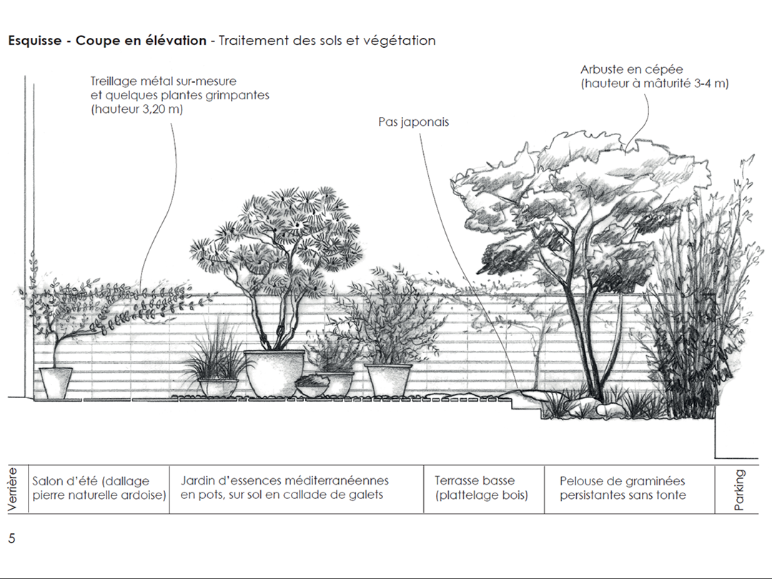 © Apis Florae, petit jardin – On dirait le Sud, coupe en élévation