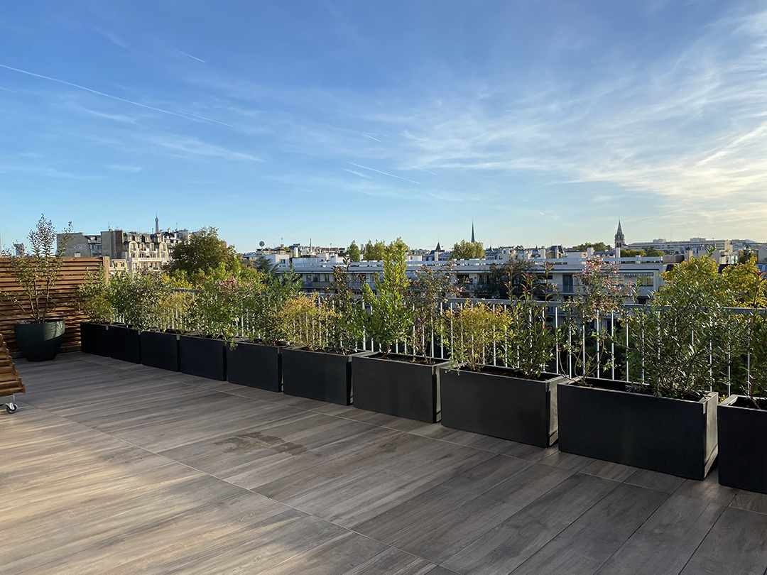 © Apis Florae, toit-terrasse, vue d'ensemble, jardinières, arrosage automatique et revêtements