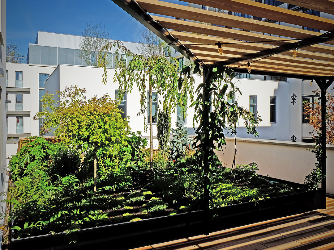 © Apis Florae toits-terrasses Paris pergola et végétalisation 2