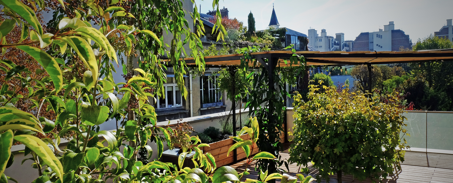 © Apis Florae toits-terrasses Paris pergola et végétalisation