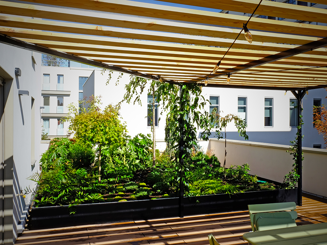 © Apis Florae toits-terrasses Paris pergola et végétalisation (2)