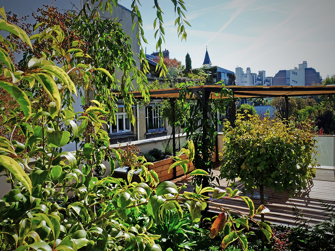 © Apis Florae toits-terrasses Paris pergola et végétalisation (6)