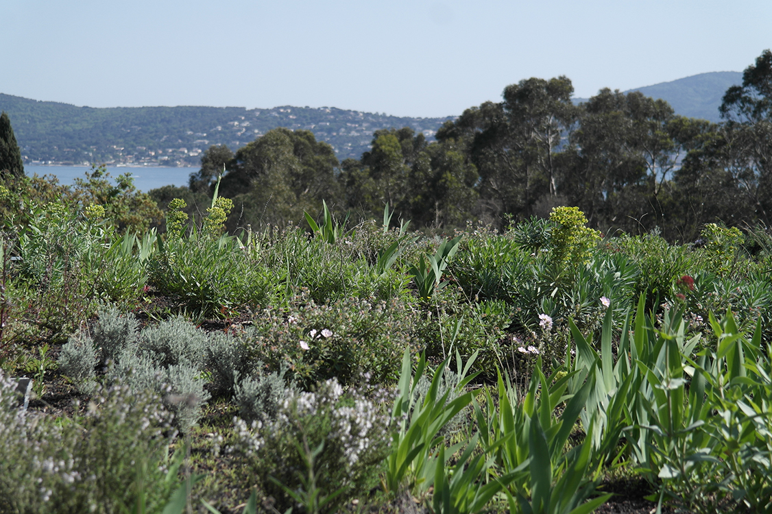 © Apis Florae, toiture ornementale méditerranéenne, Saint Tropez 3 (1)