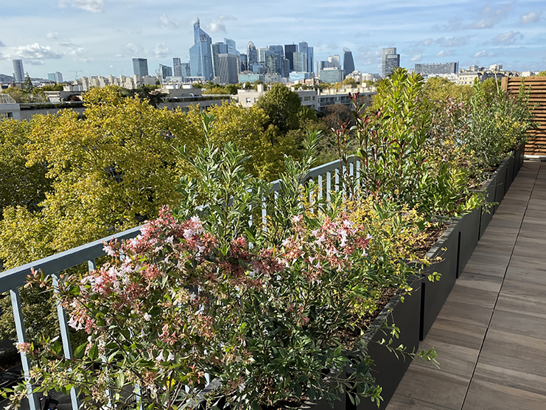 © Apis Florae, vue dégagée toit-terrasse, jardinières, pots, arrosage automatique et revêtements 2