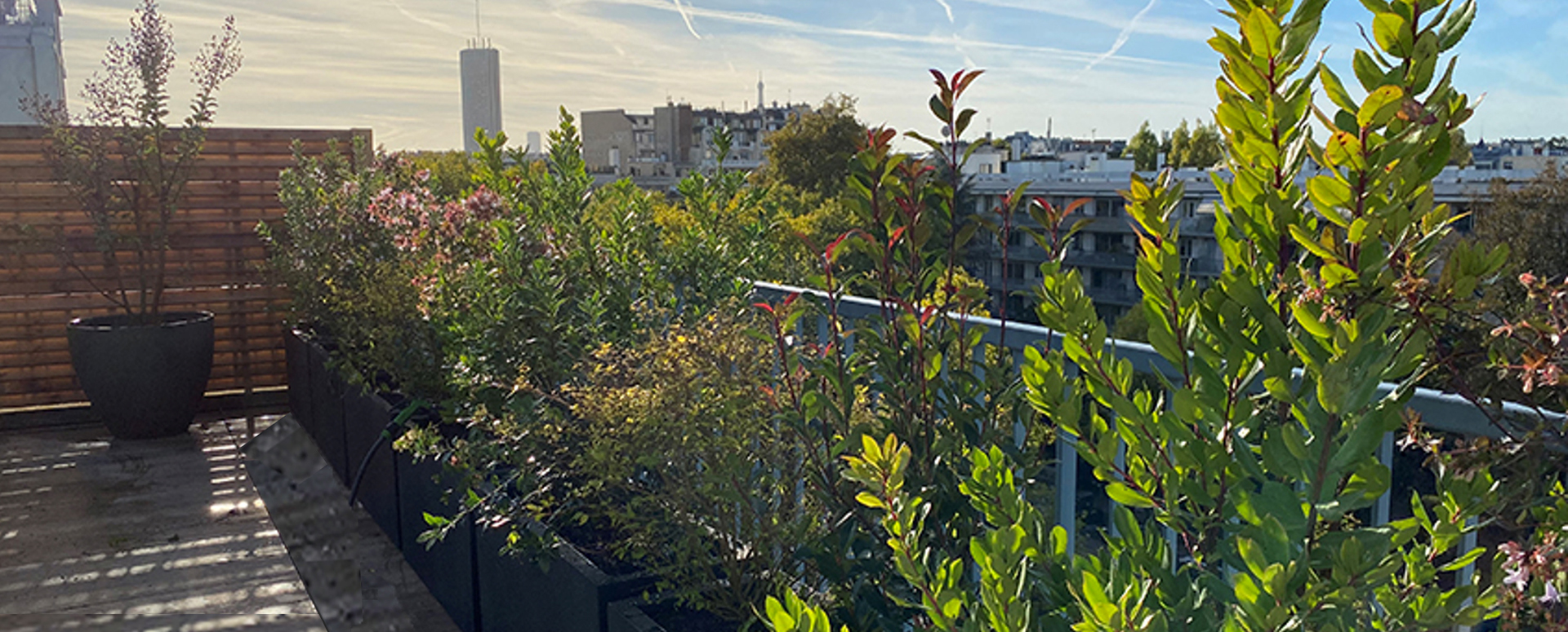 © Apis Florae, vue dégagée toit-terrasse, jardinières, pots, arrosage automatique et revêtements