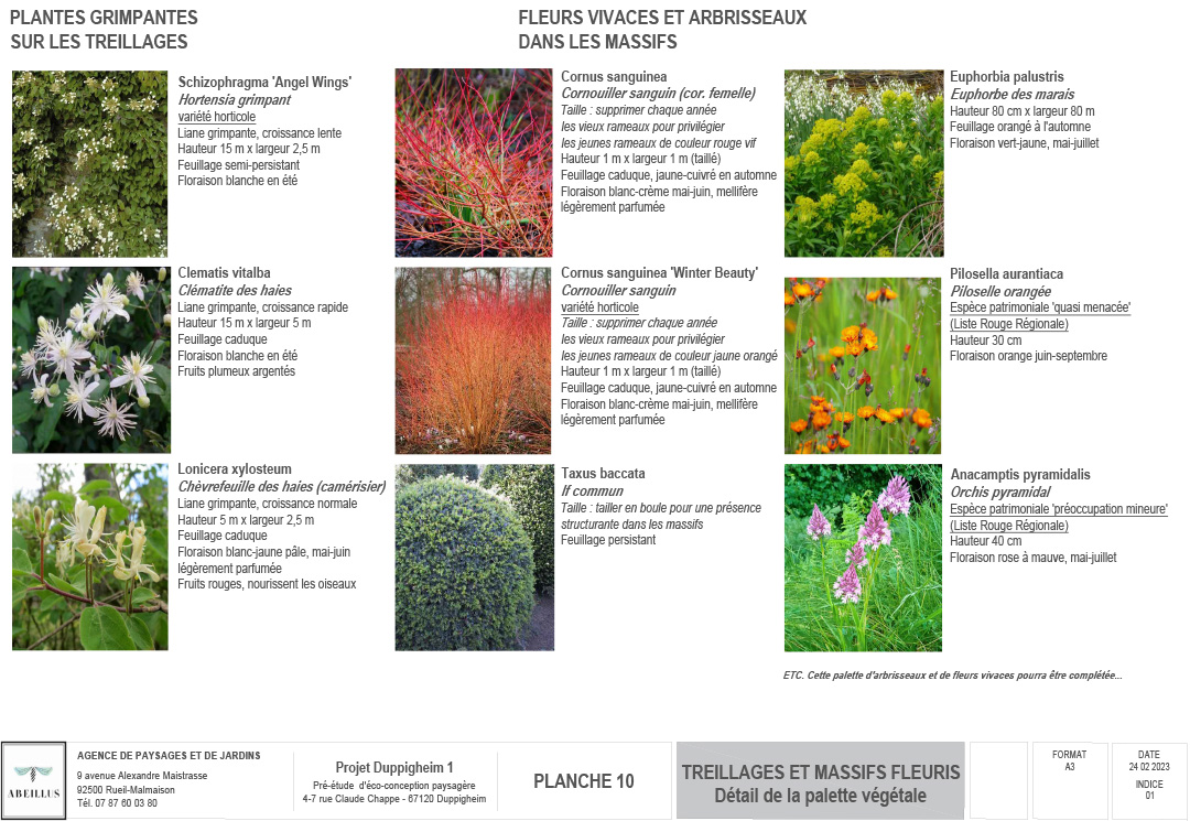 © Apis Florae, Palette végétale - Conception écologique pour un site d’entrepôts 