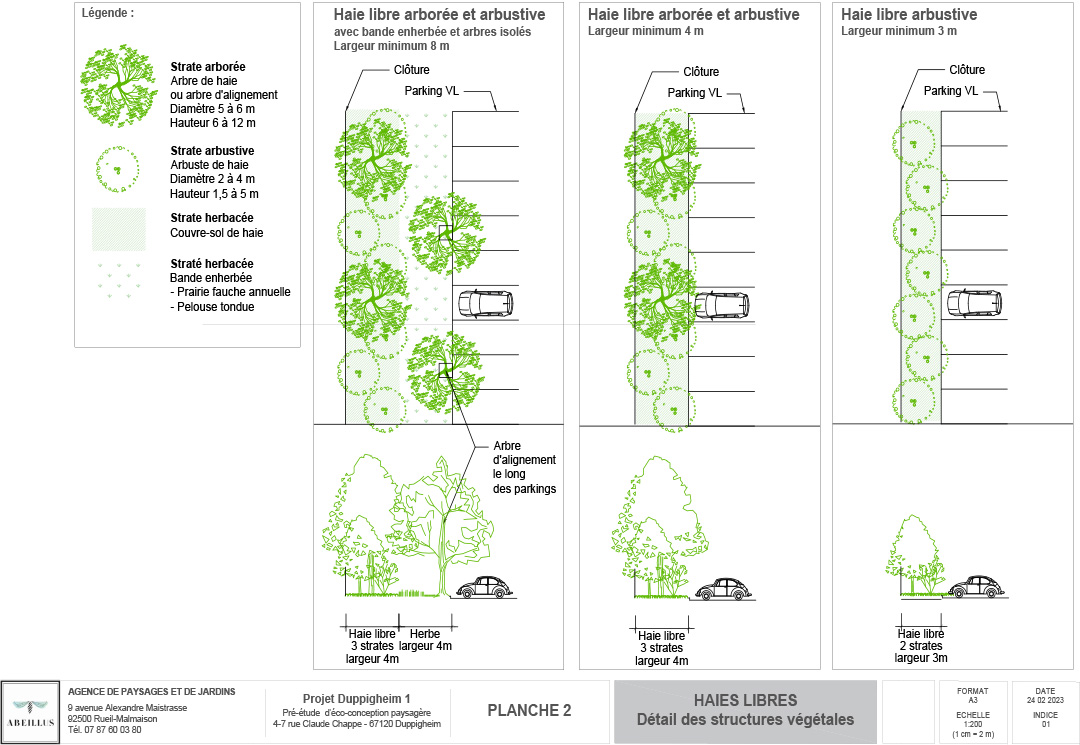 © Apis Florae, Détail des structures végétales- Conception écologique pour un site d’entrepôts 