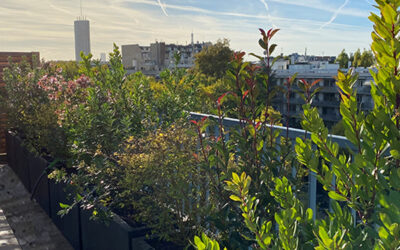 Toit terrasse à Neuilly