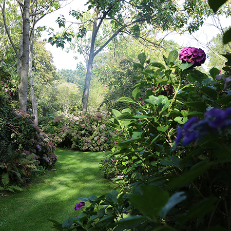 Bureau d'étude-conception-paysagiste-jardiner-APIS FLORAE