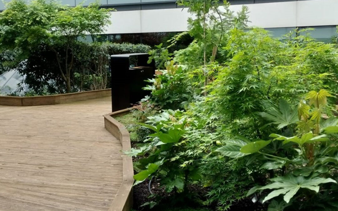 AXA-CBRE, Patio de siège social