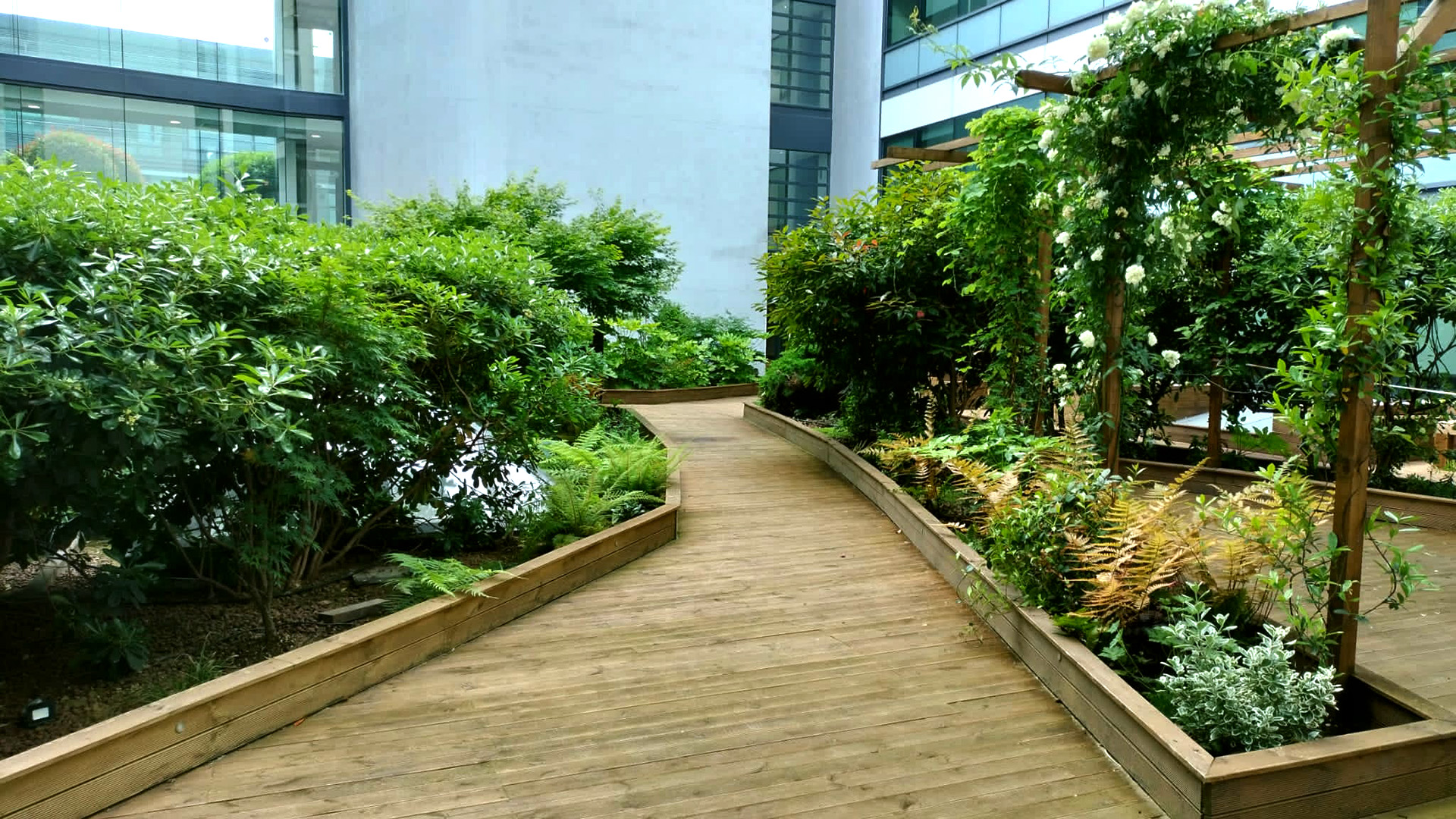 © Apis Florae, Patio de siège social, massifs et pergola