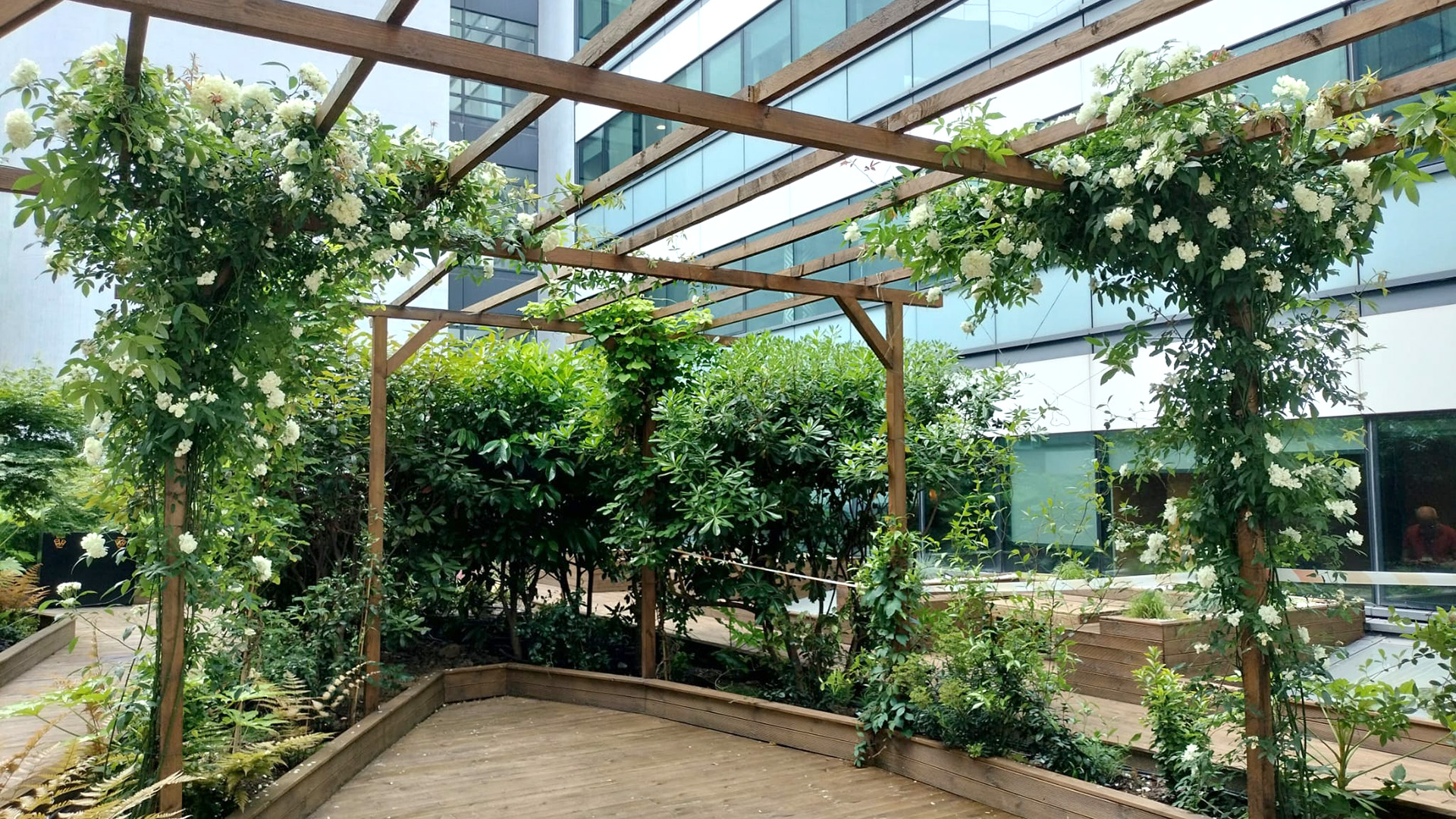 © Apis Florae, patio de siège social, pergola végétalisée