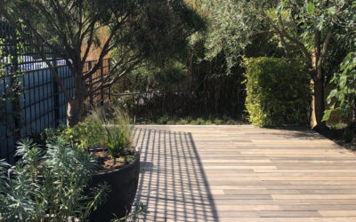 Petit jardin – On dirait le Sud
