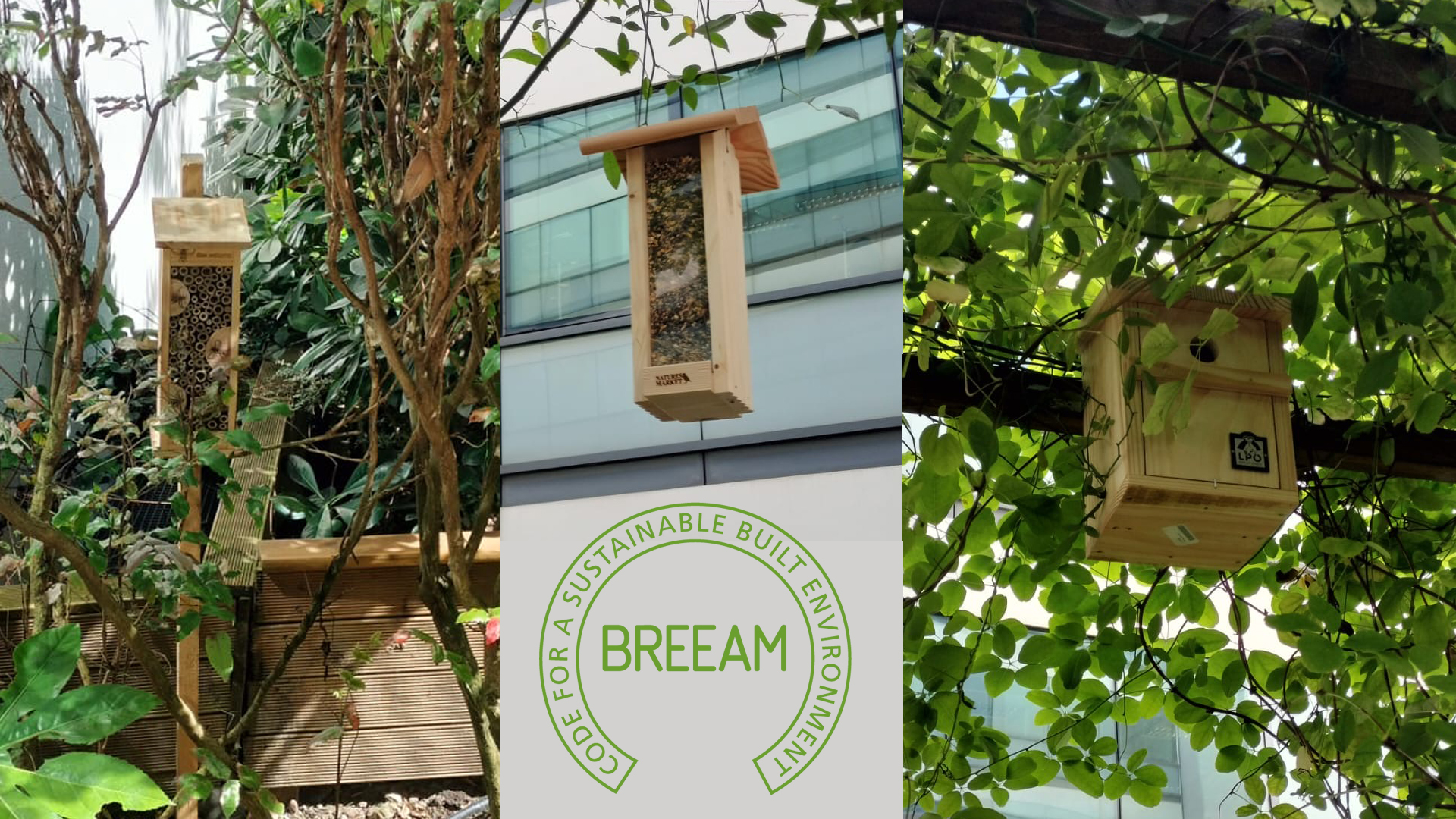 © Apis Florae, patio de siège social, certification Breeam