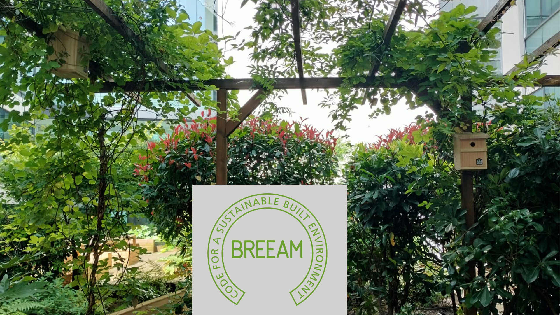 © Apis Florae, patio de siège social, certification Breeam