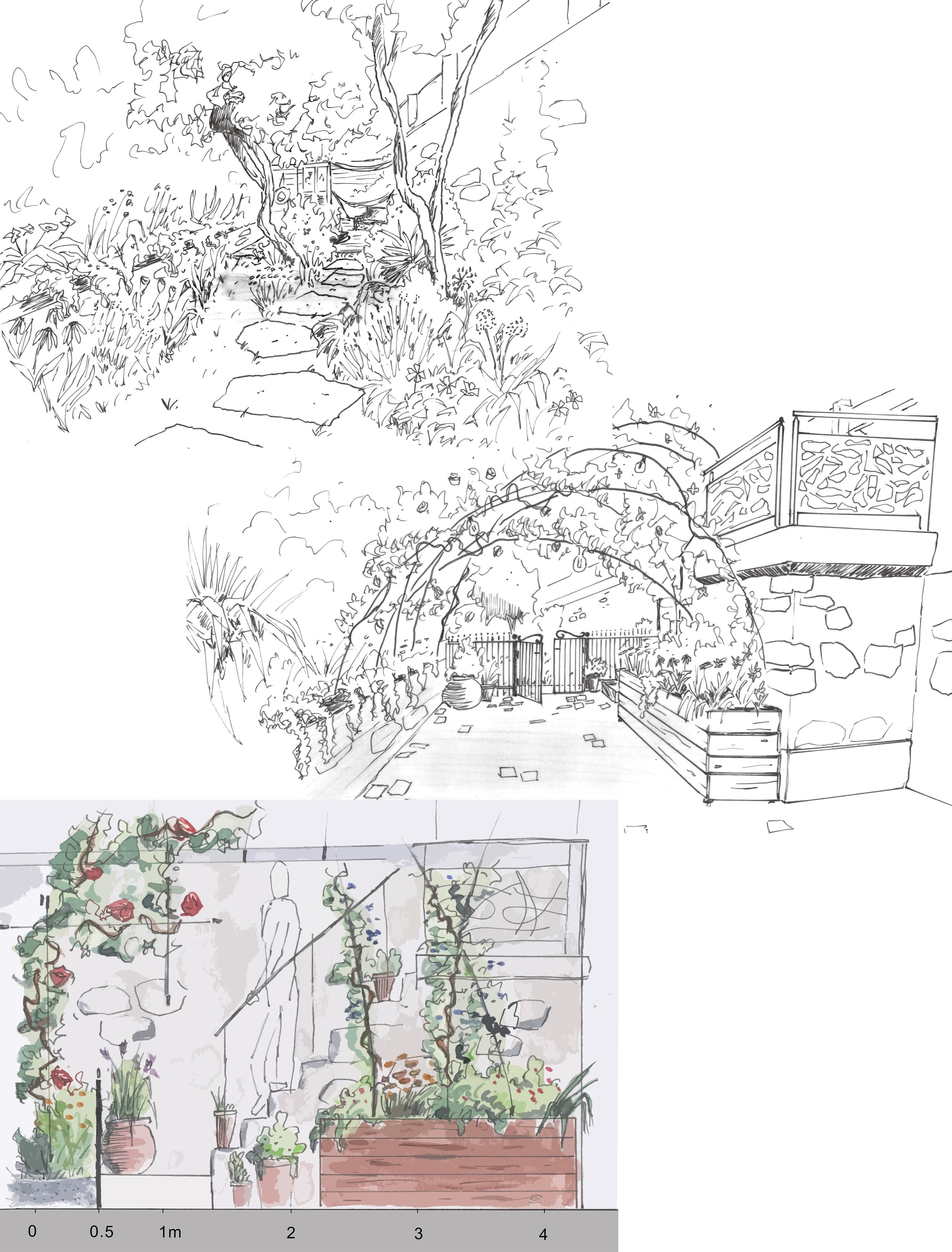 dessin-esquisse copie Apis Florae paysagiste Axa banque et assurances - Réalisation esquisse pour le patio paris