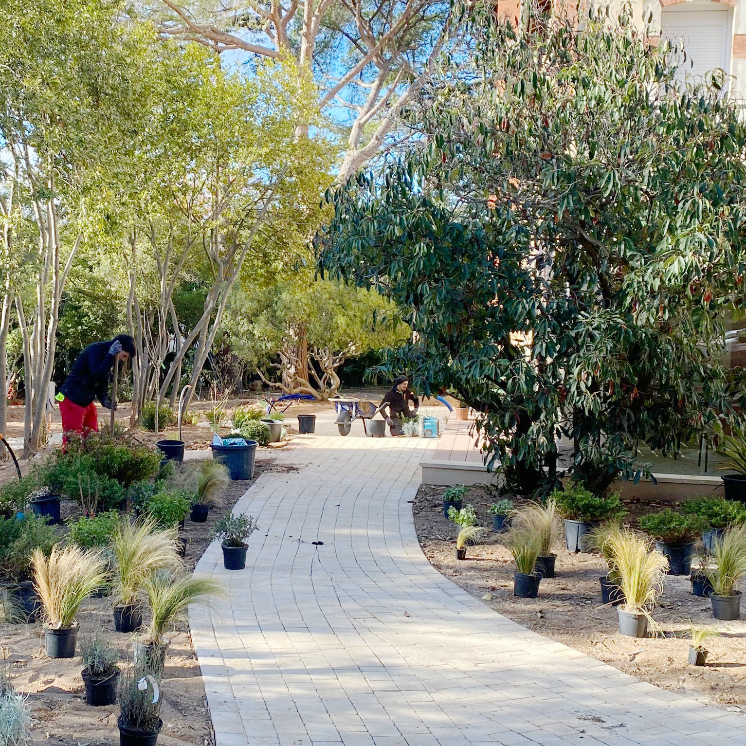 création-paysagiste-jardinier-architecte APIS FLORAE