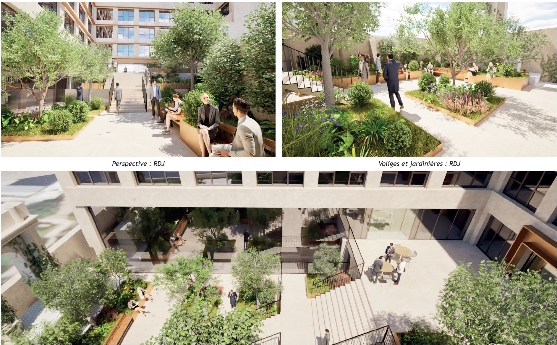 © Apis Florae, Patio siège social, massifs & circulations