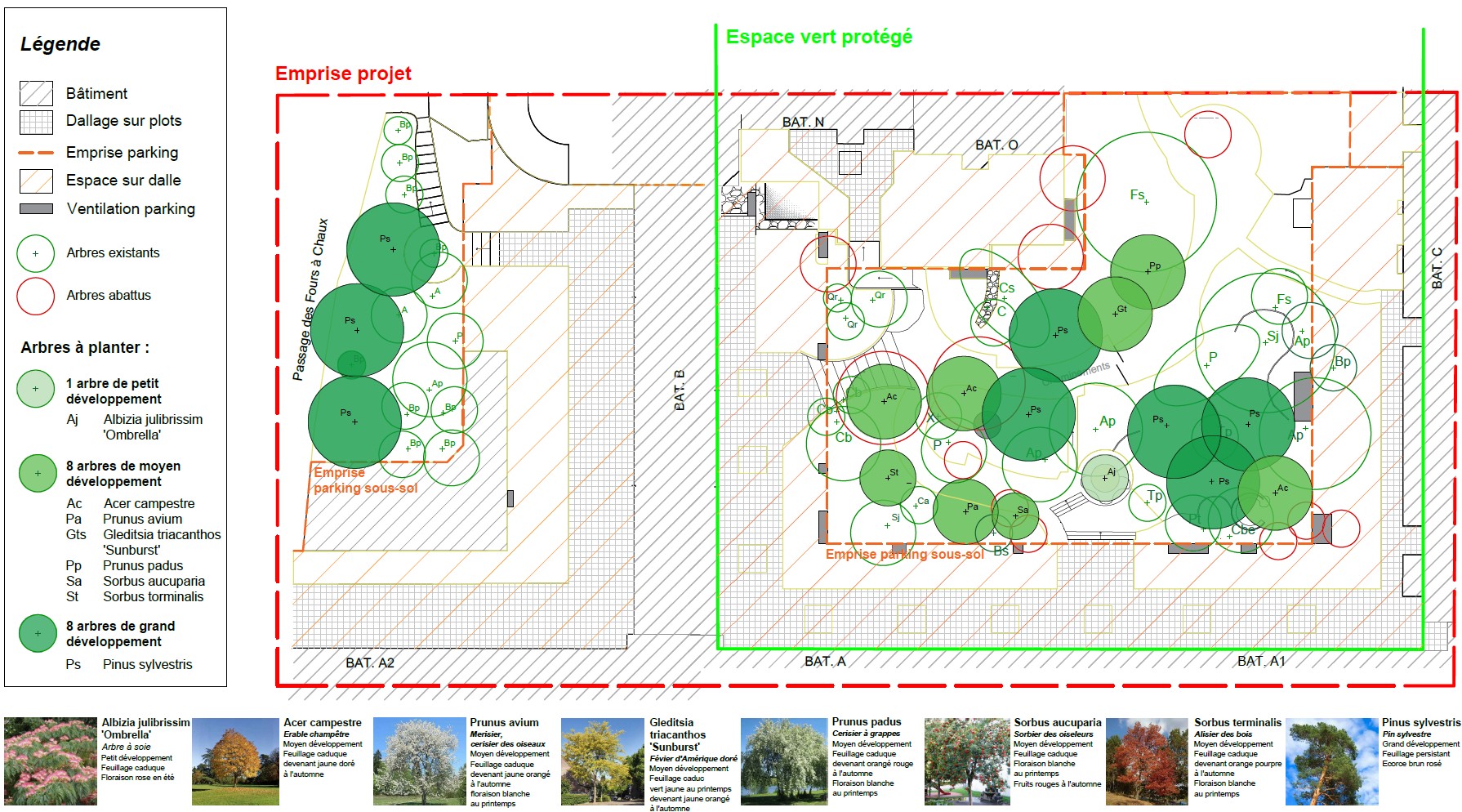 Apis Florae paysagiste Maison Gregory Lemarchal - Conception -Réalisation et Entretien de jardin bienfaisant