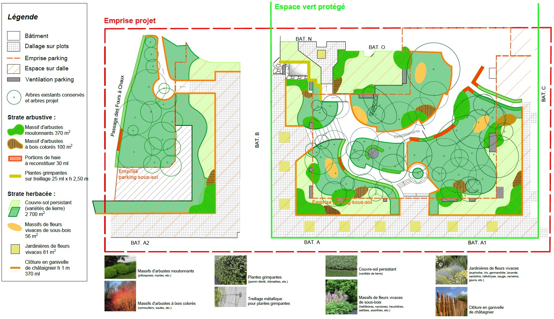 Apis Florae paysagiste Maison Gregory Lemarchal 2023 - Conception -Réalisation de jardin bienfaisant